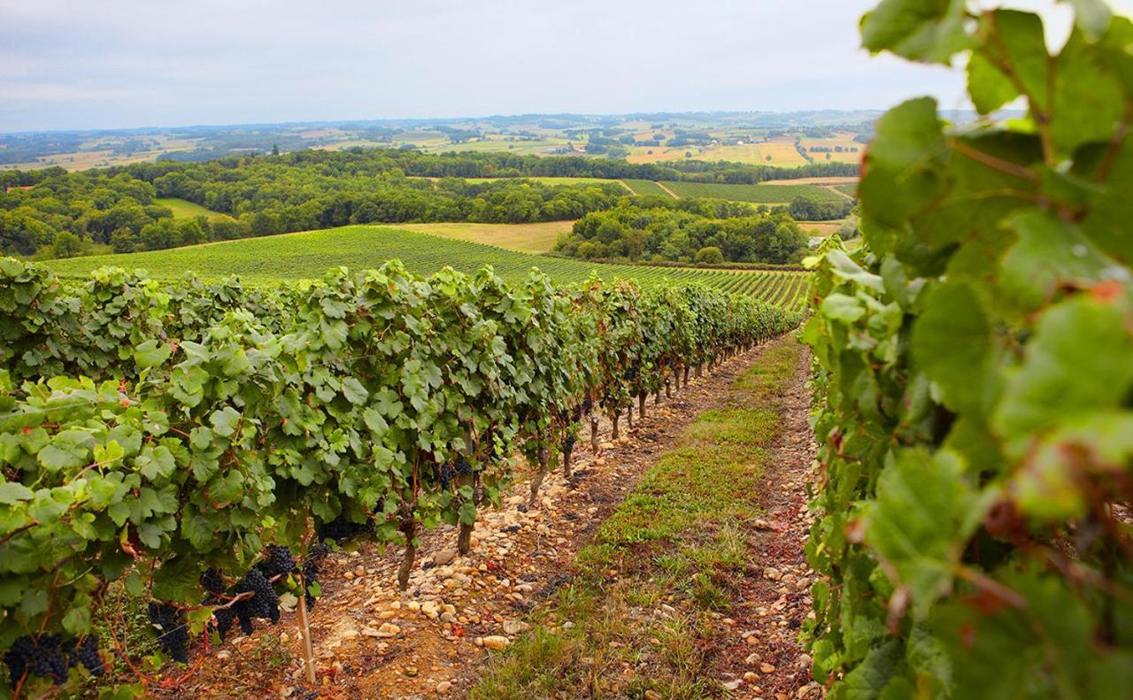 Gite, Jacuzzi & Vin Au Grenier De Madiran Bagian luar foto